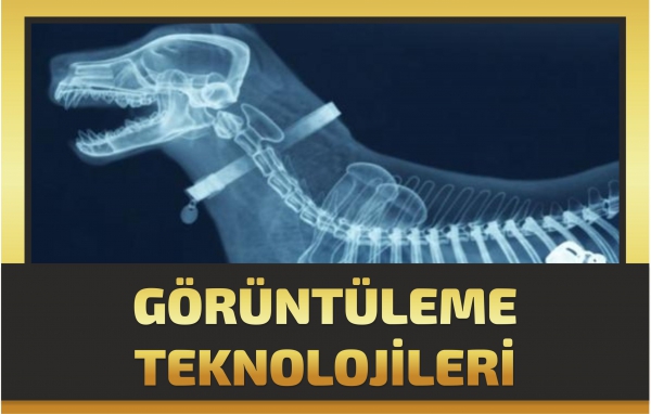 GÖRÜNTÜLEME TEKNOLOJİLERİ