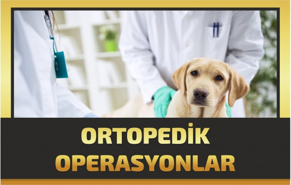 ORTOPEDİK OPERASYONLAR