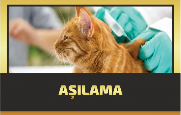 AŞILAMA