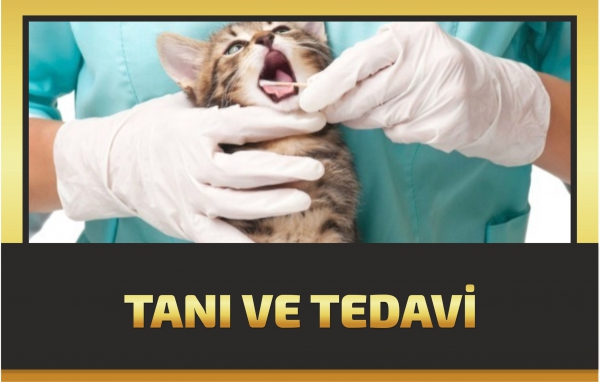 TANI VE TEDAVİ